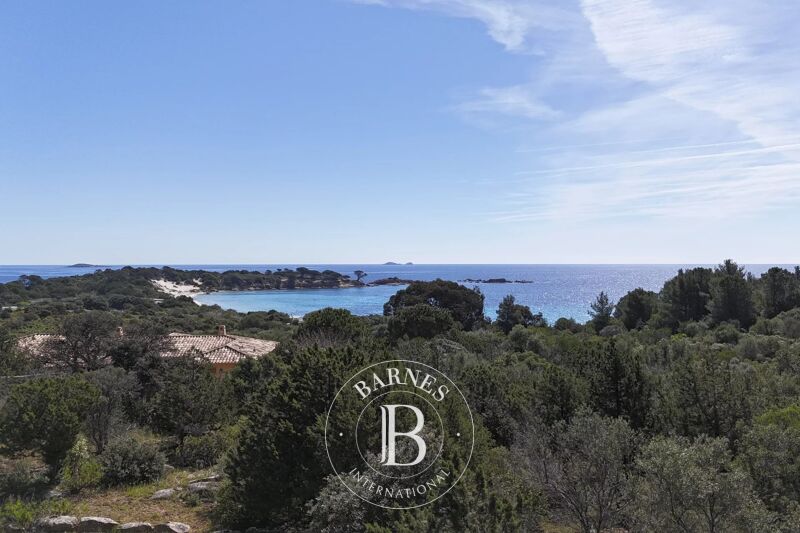 For Sale Plot of land | Porto-Vecchio - picture 1