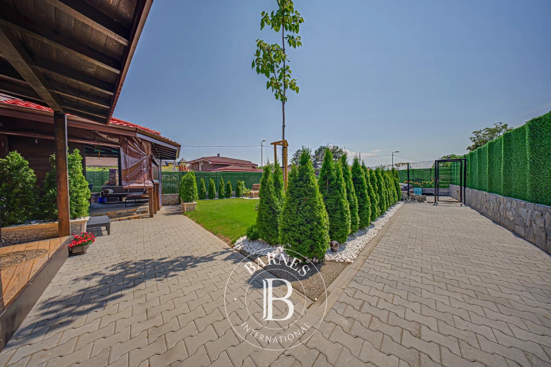 Ev Sofia - picture 23