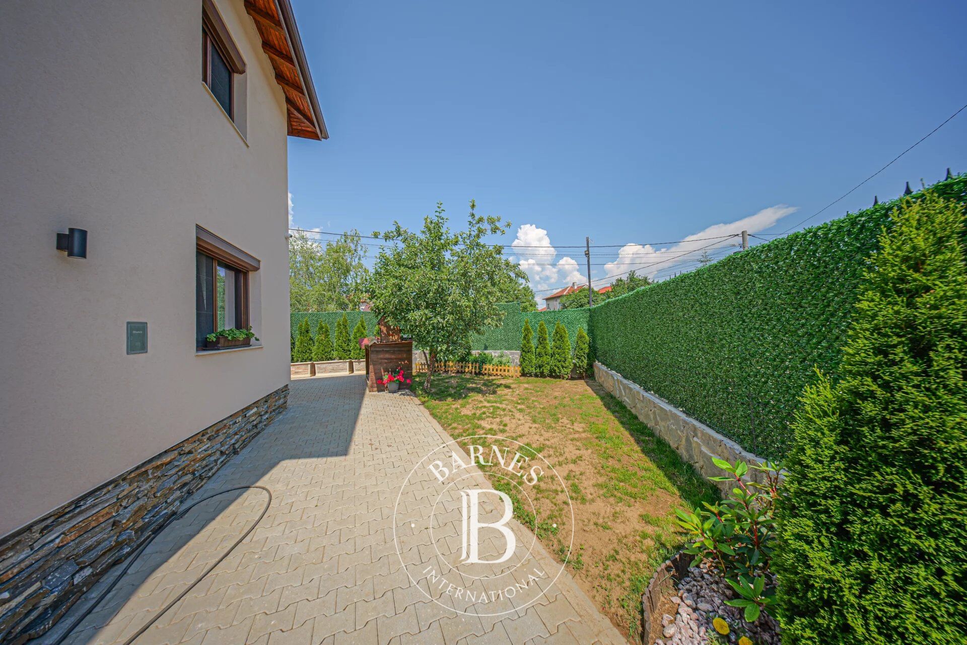 Ev Sofia - picture 32