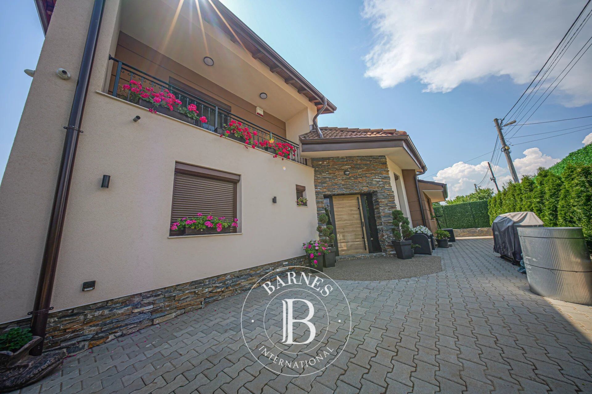 Ev Sofia - picture 33