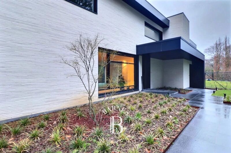 For Rent, Duplex Uccle - picture 2