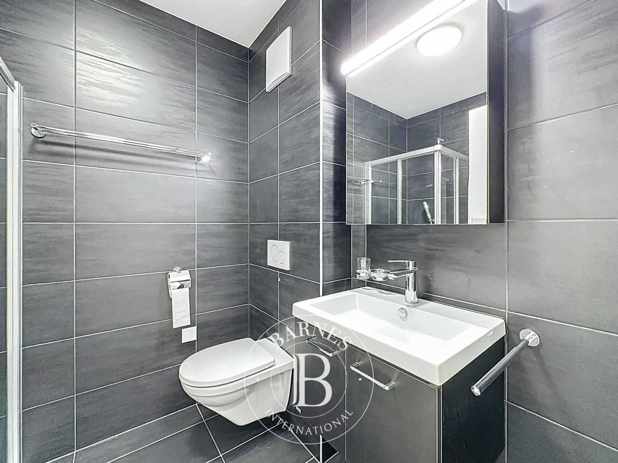 Daire Vevey  - picture 8