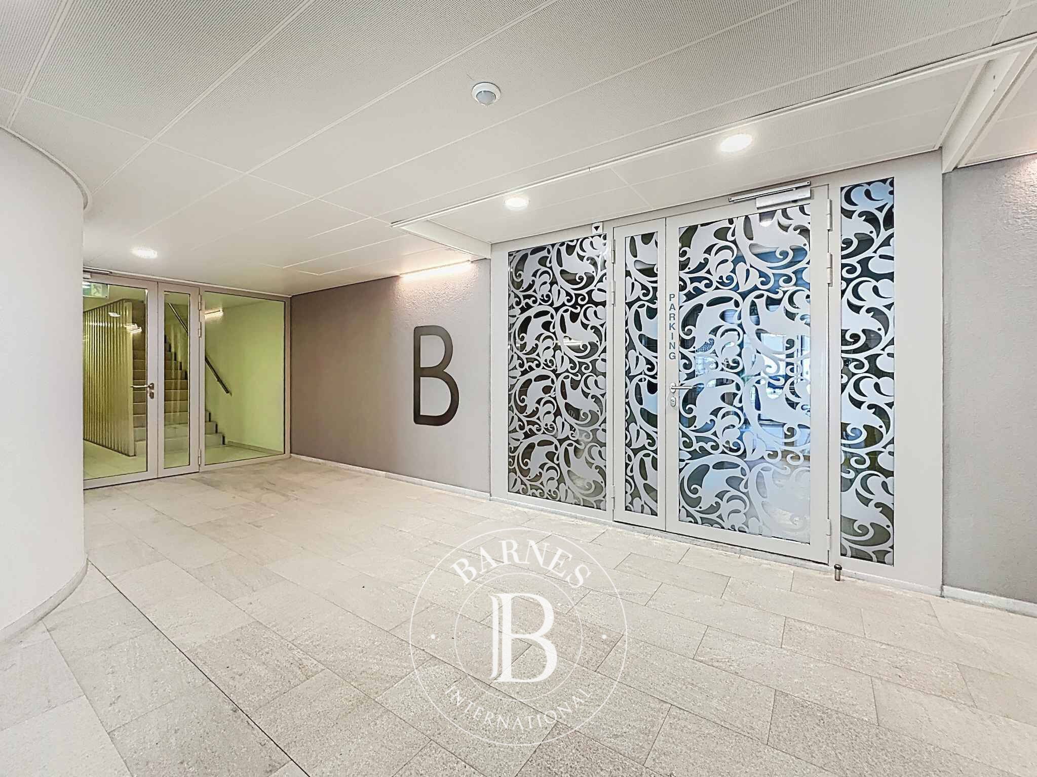 Daire Vevey  - picture 12