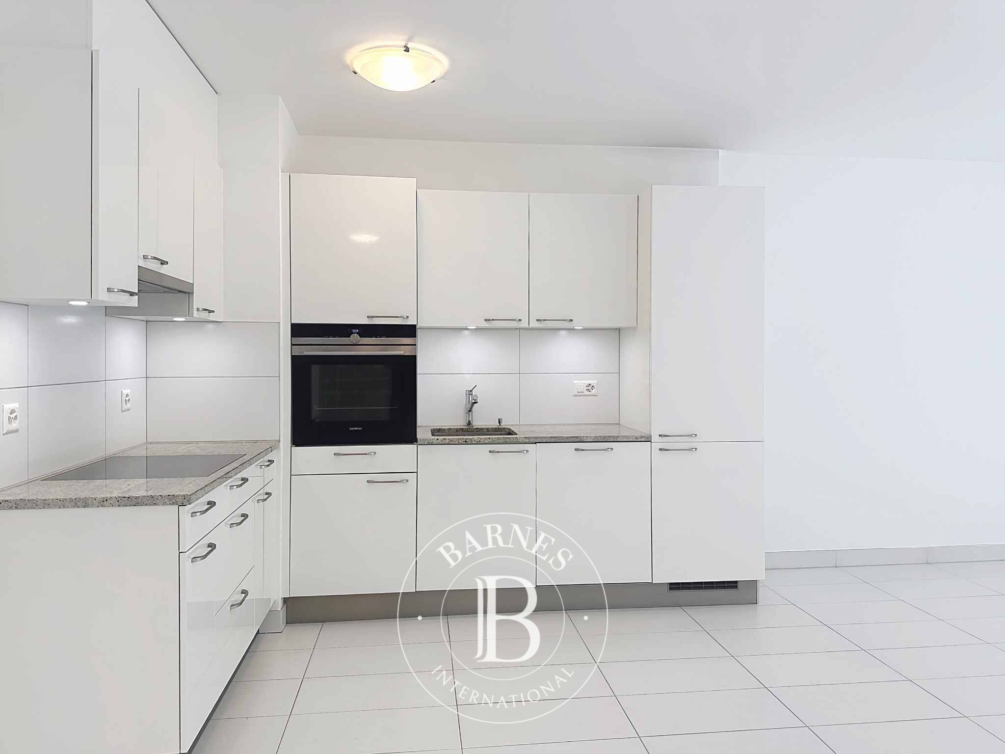 Daire Vevey  - picture 5