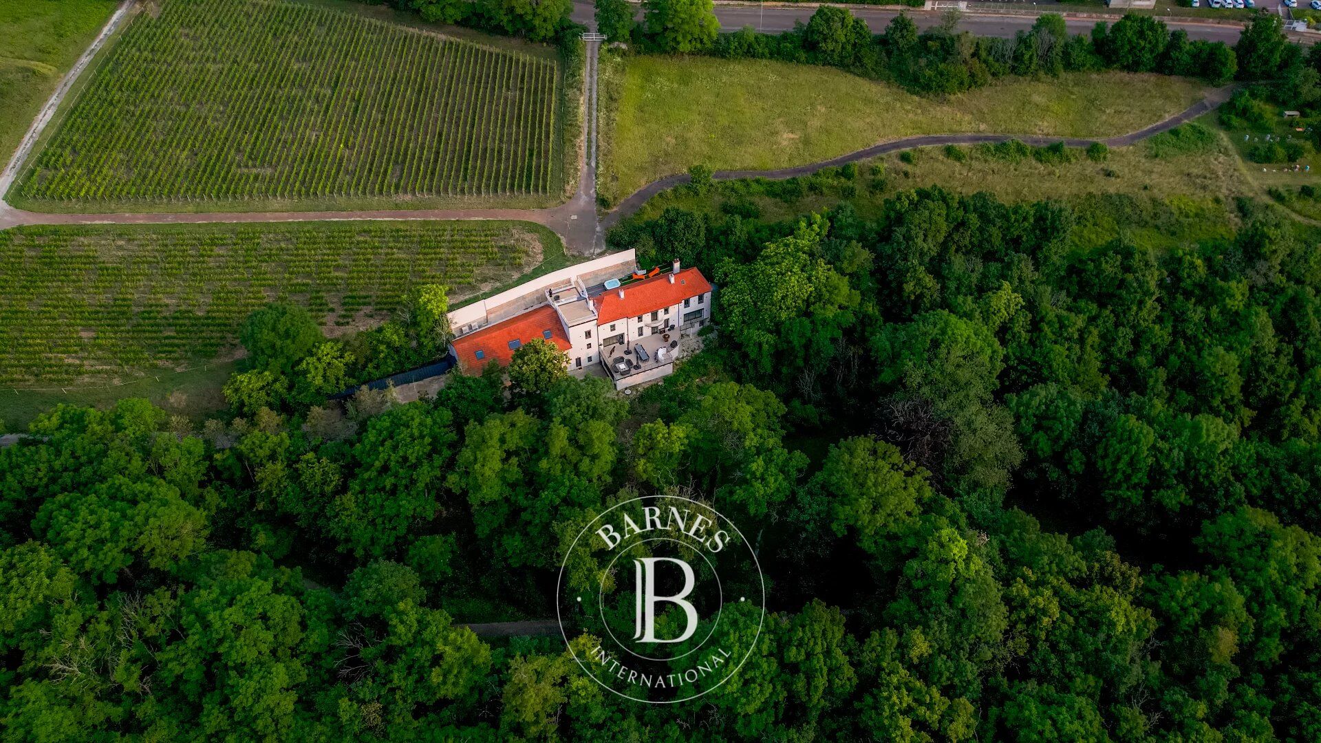 Casa Dijon - picture 2