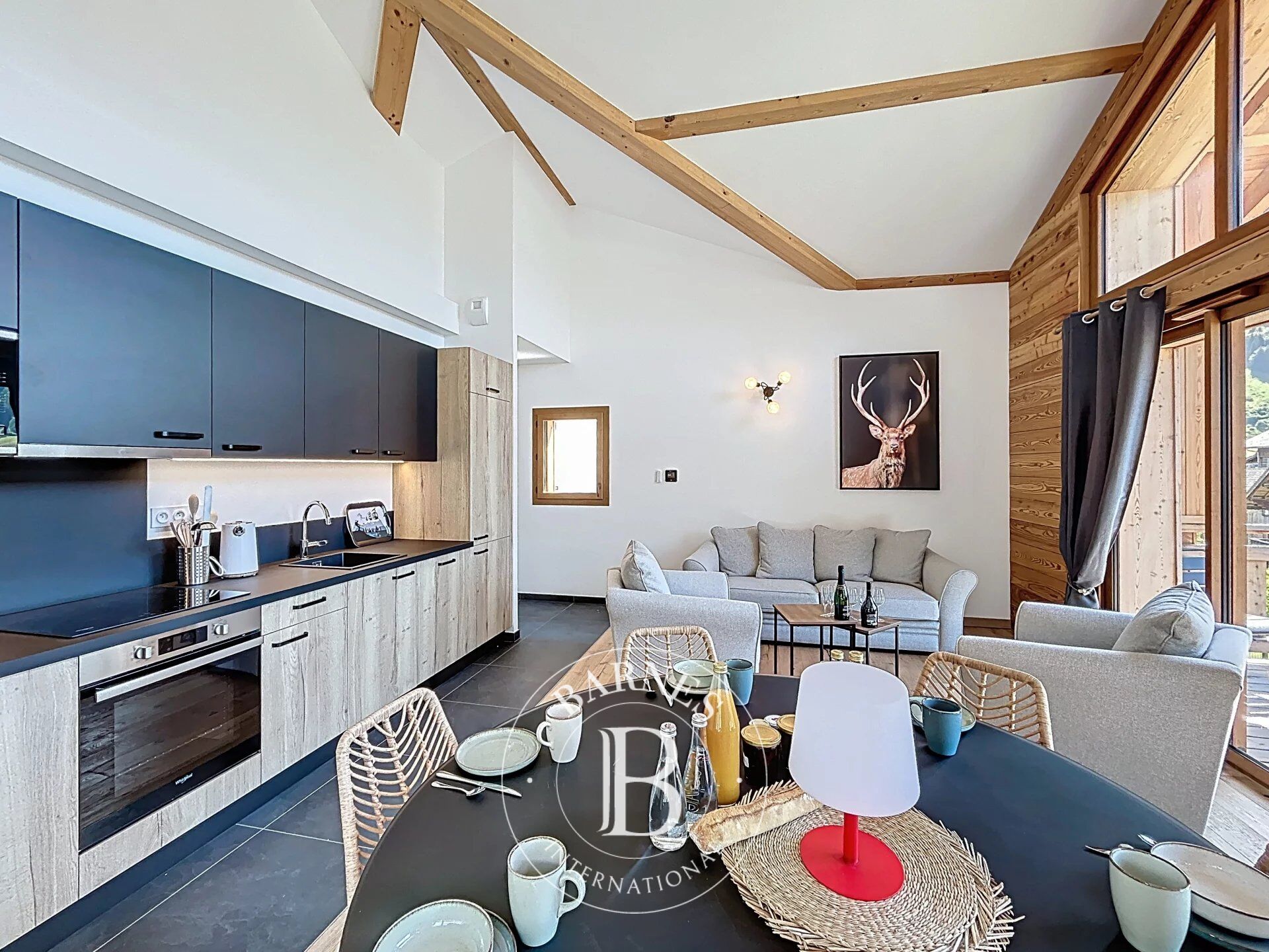 Alisier - Morzine - Planet area - picture 2