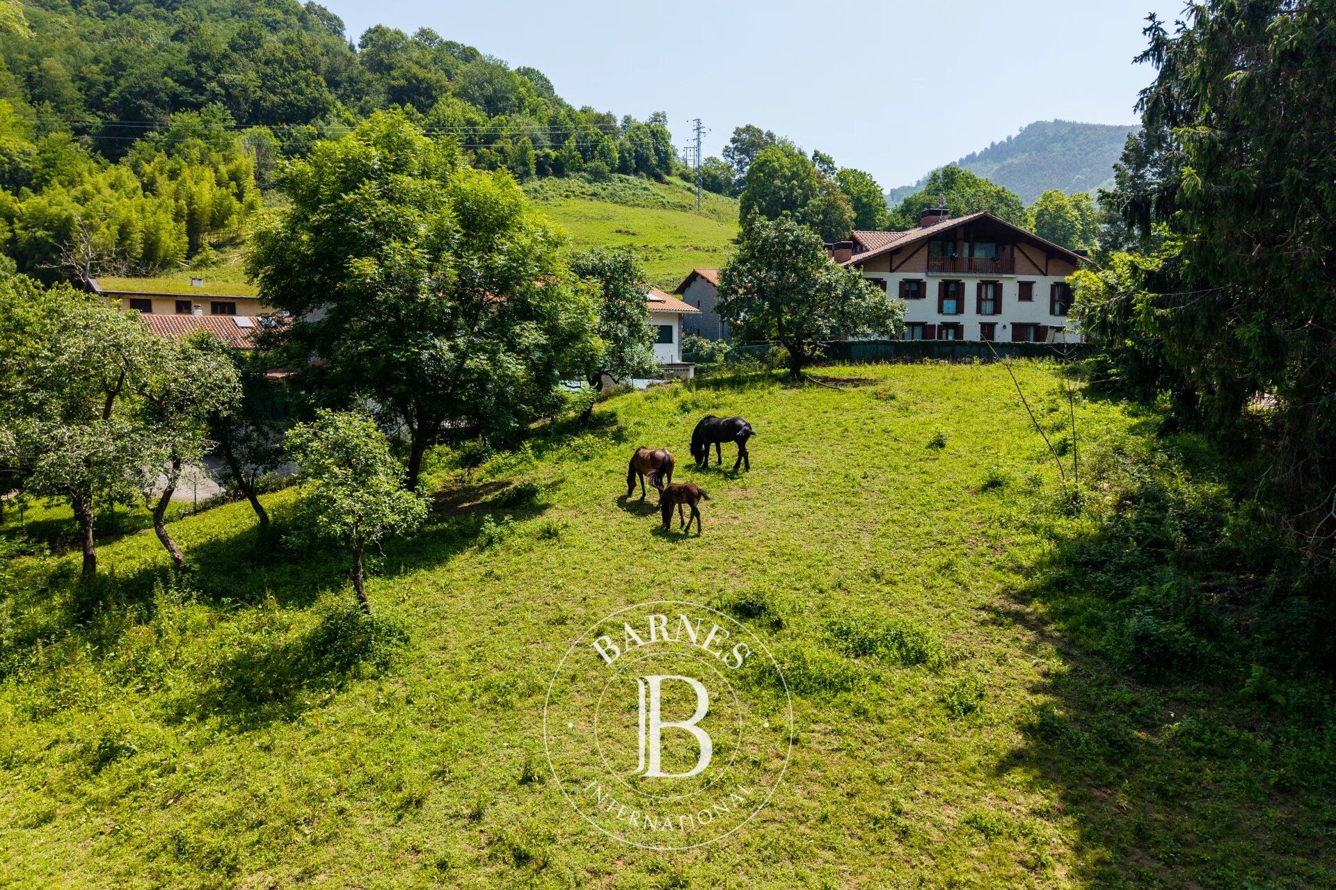 Ev Hernani - picture 5