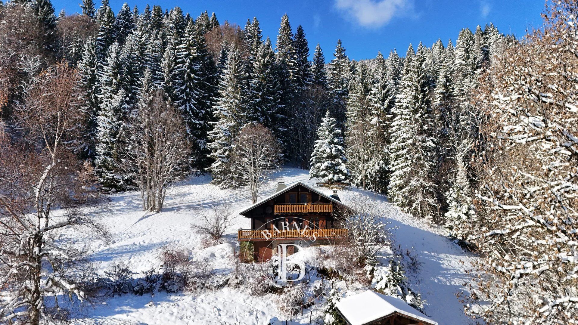 Dağ evi Les Gets - picture 4