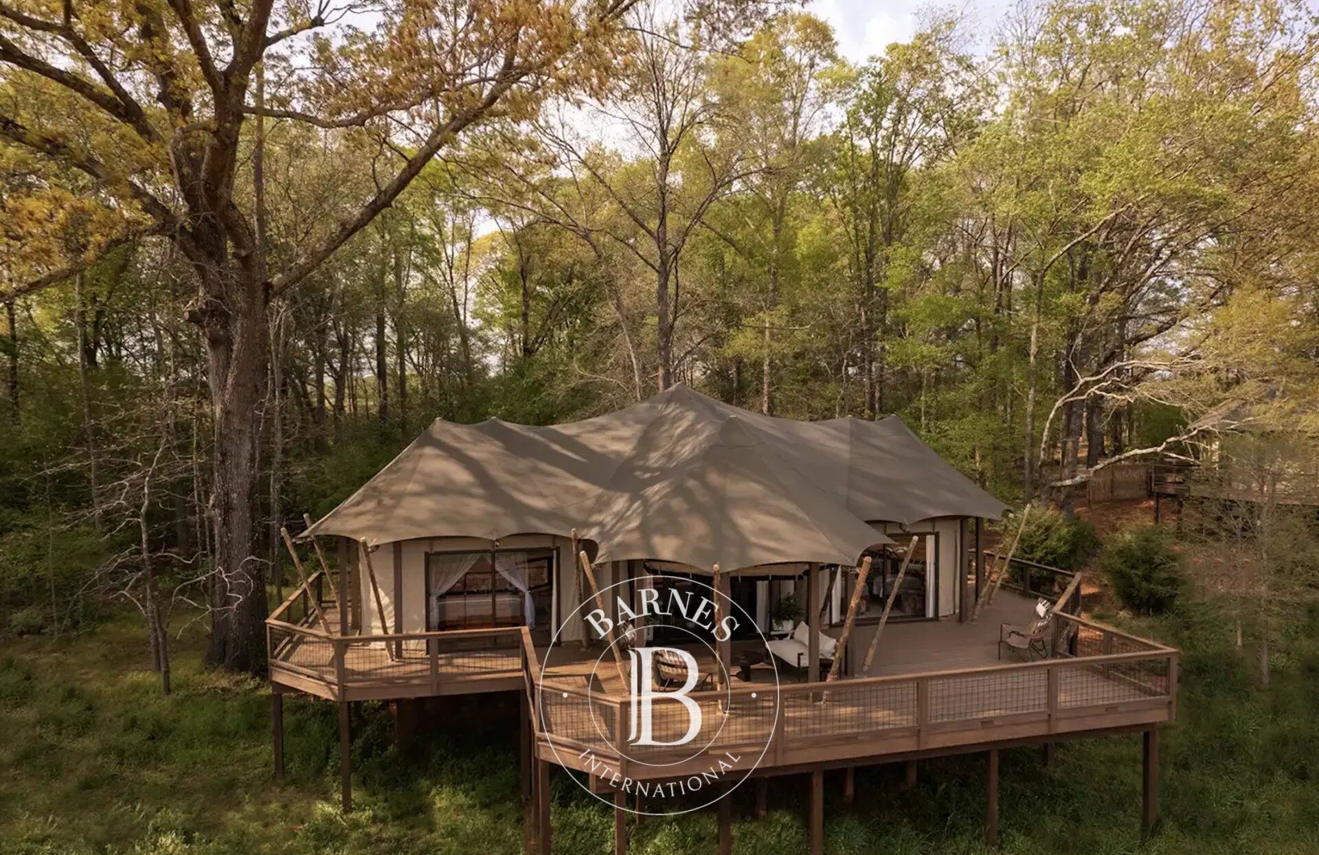 Arazi Montalto di Castro - picture 7