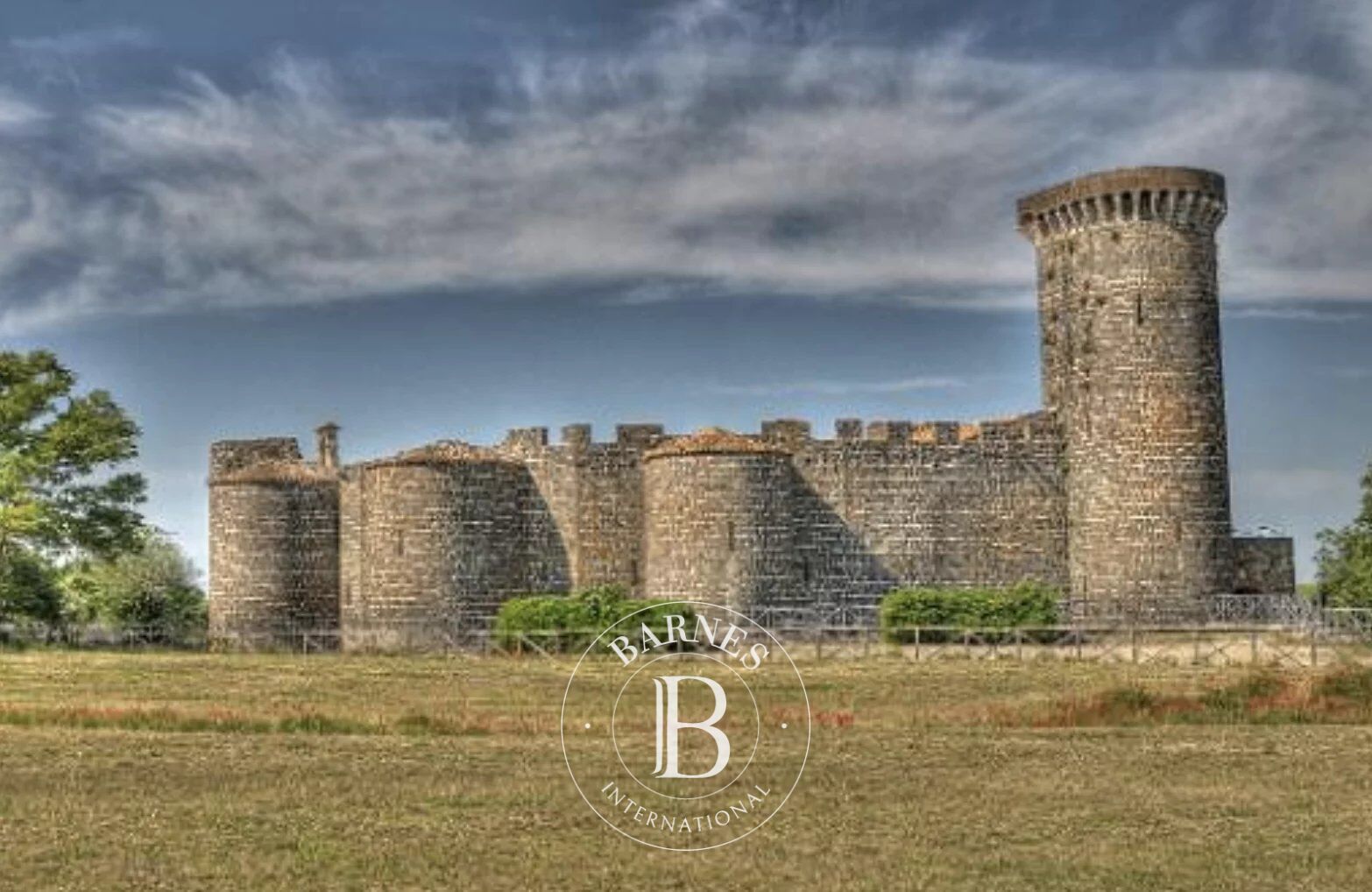 Arazi Montalto di Castro - picture 15