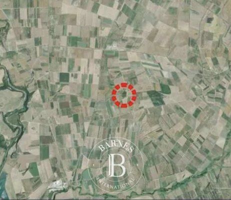 Arazi Montalto di Castro - picture 11