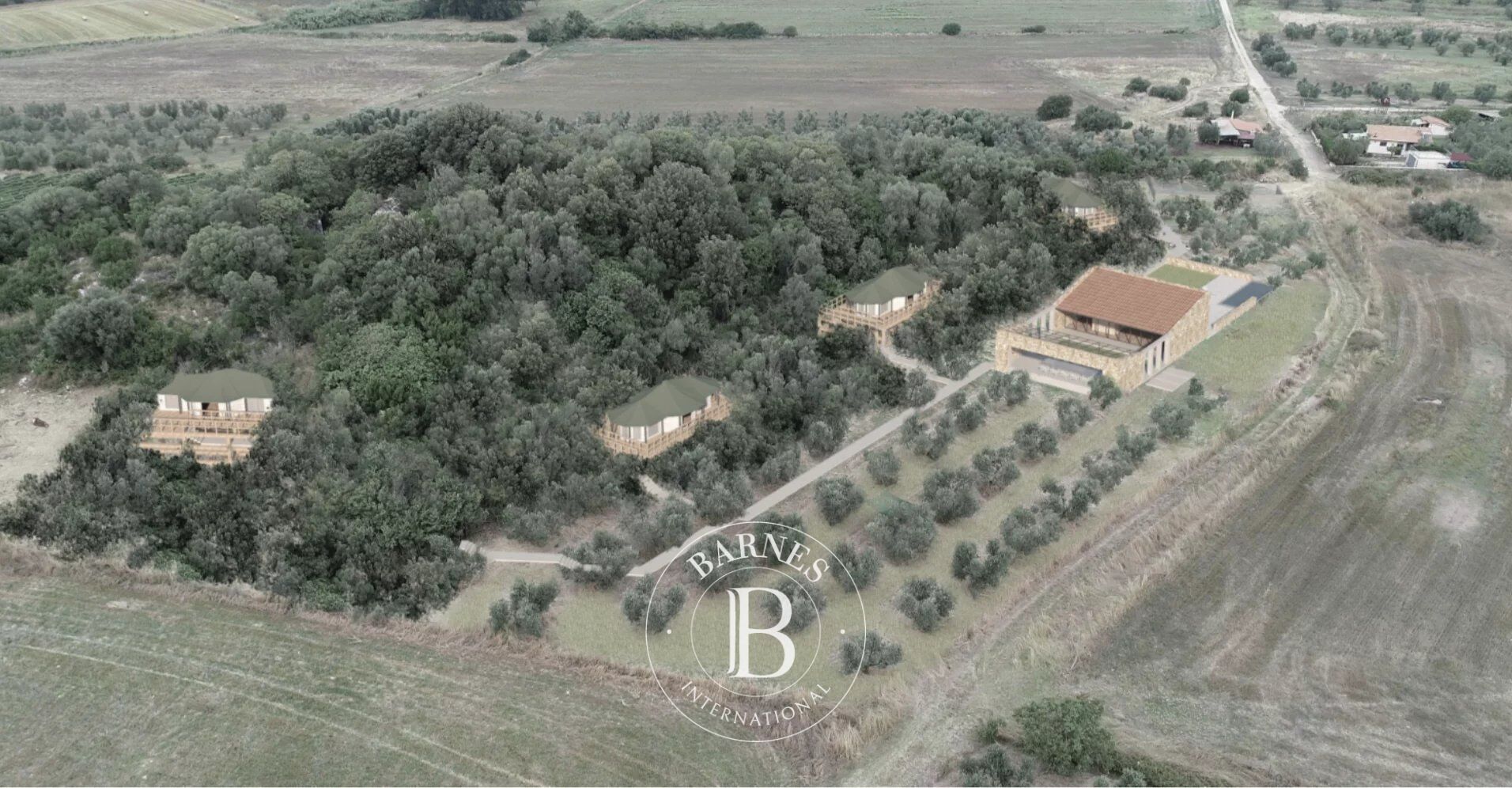 Arazi Montalto di Castro - picture 13