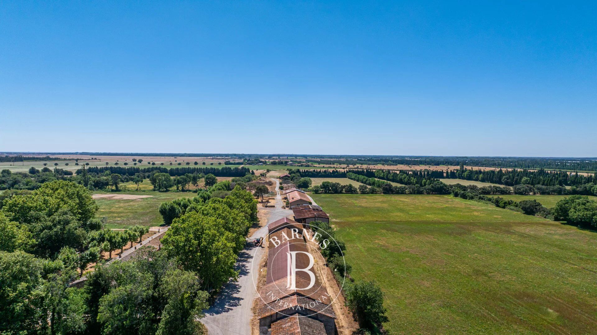 SALON-DE-PROVENCE – AGRICULTURAL ESTATE – 158 HECTARES – AOP CRAU HAY (PDO) - picture 3