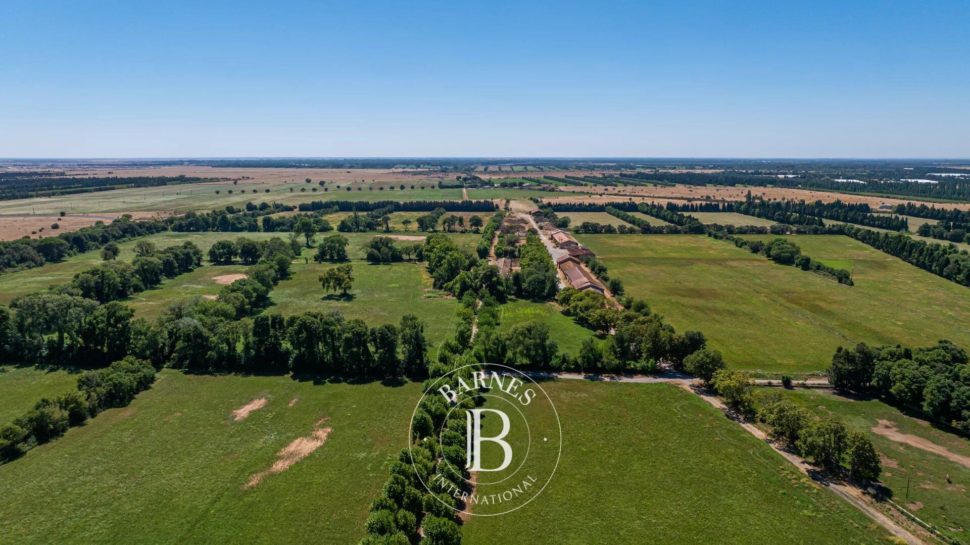 SALON-DE-PROVENCE – AGRICULTURAL ESTATE – 158 HECTARES – AOP CRAU HAY (PDO) - picture 2