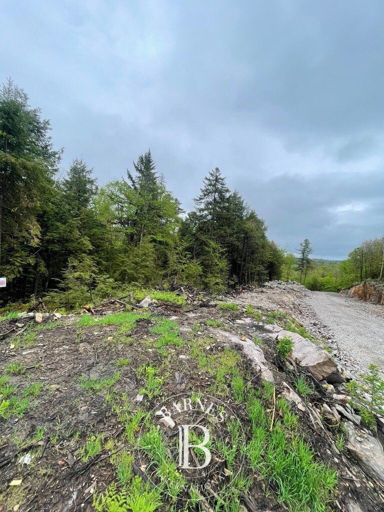 Rue de Singapour  Brownsburg-Chatham (Laurentides) - picture 2