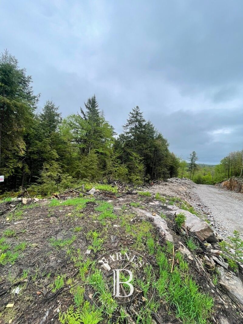 For Sale Plot of land | Brownsburg-Chatham - picture 2