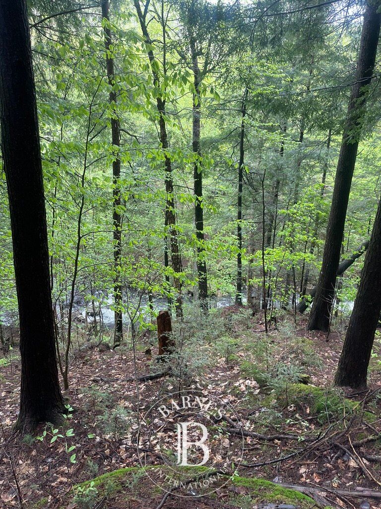 Rue de Singapour  Brownsburg-Chatham (Laurentides) - picture 3