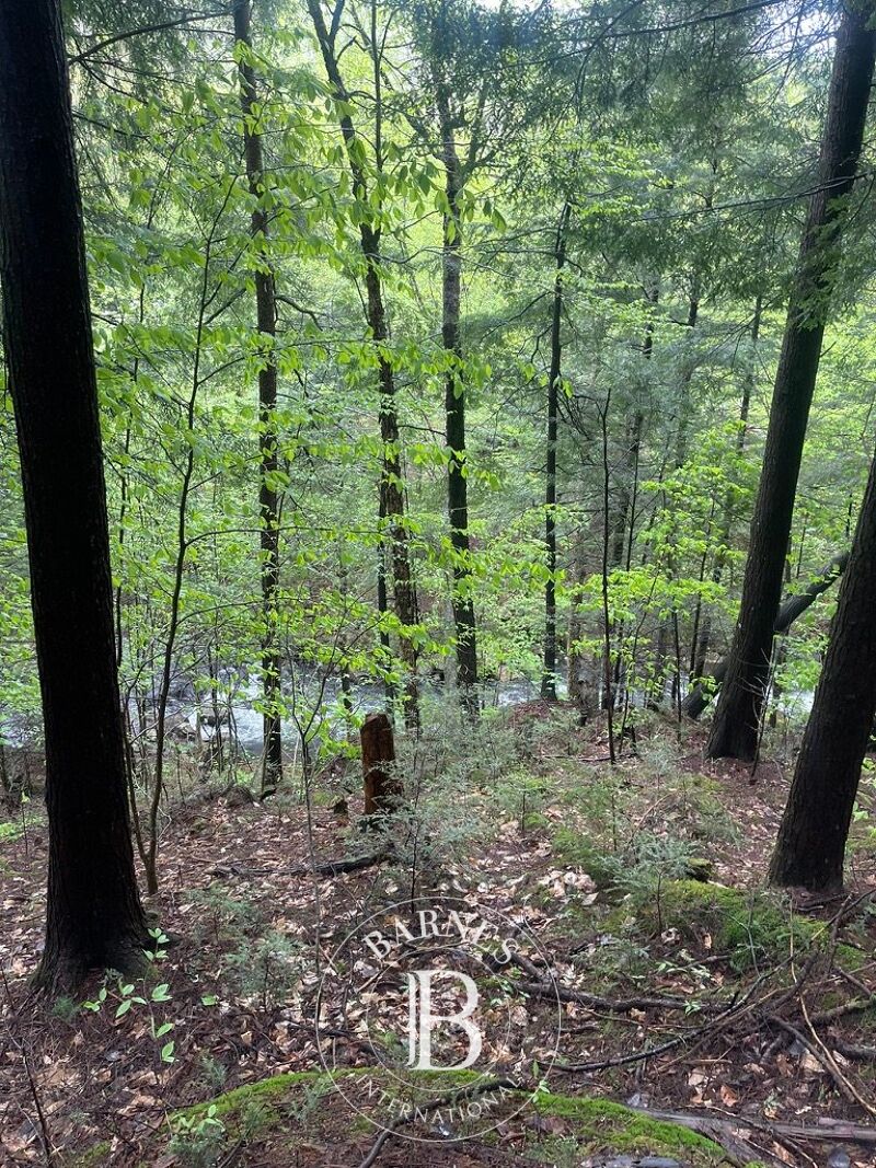 For Sale Plot of land | Brownsburg-Chatham - picture 3