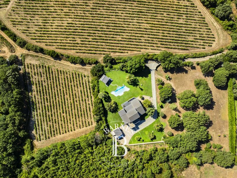 For Sale, Villa Barbaggio - picture 3