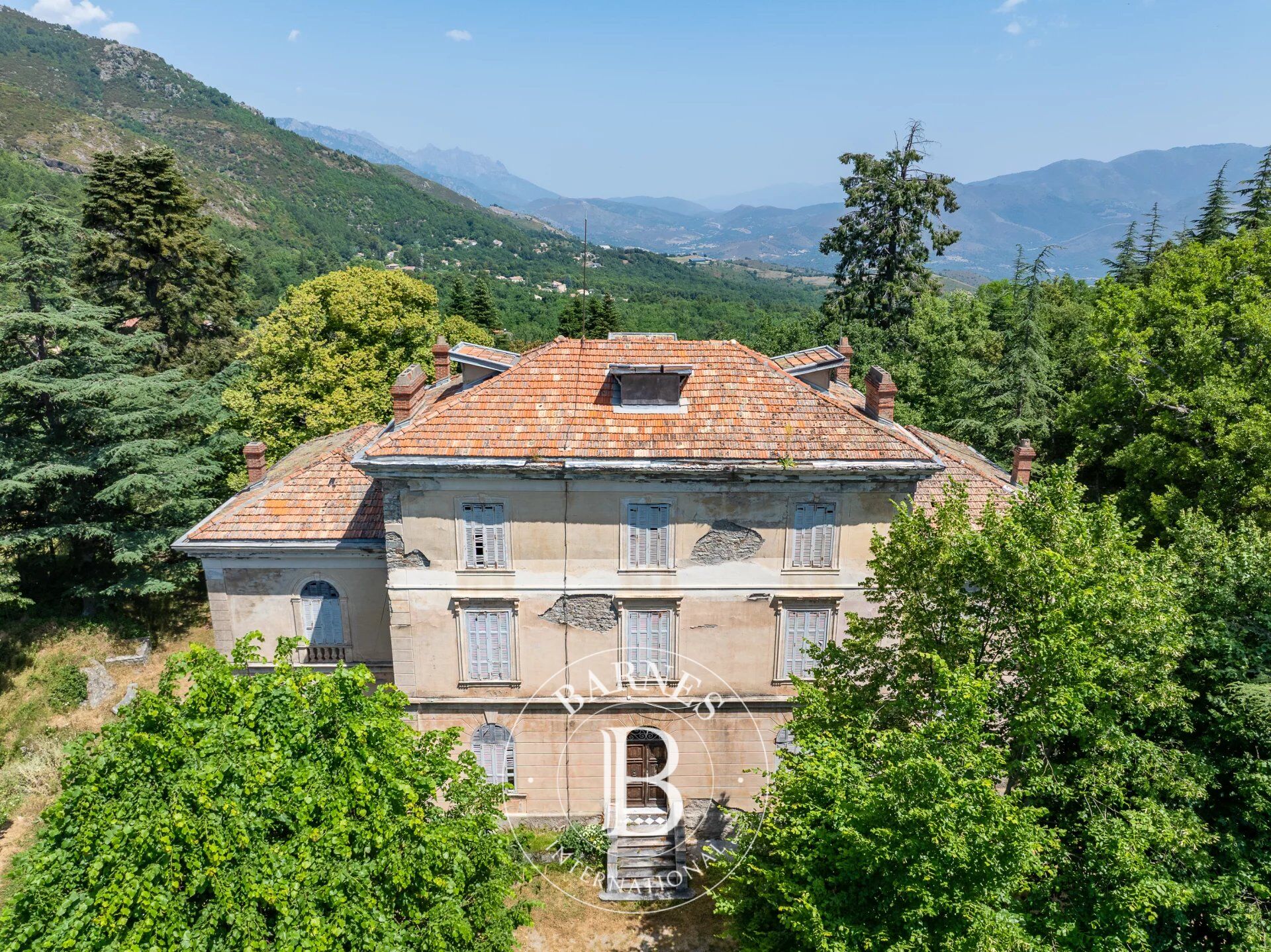 Castillo Santo-Pietro-di-Venaco - picture 3