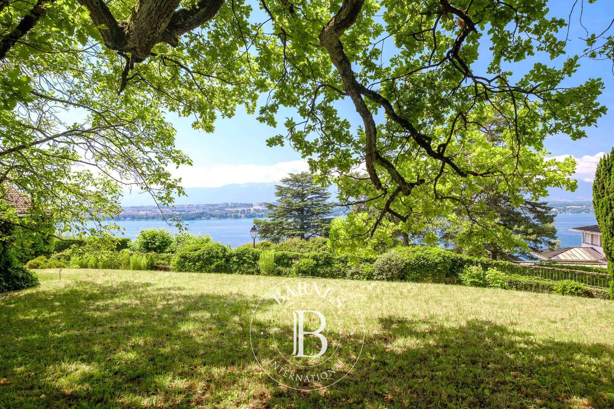 Villa Cologny - picture 5