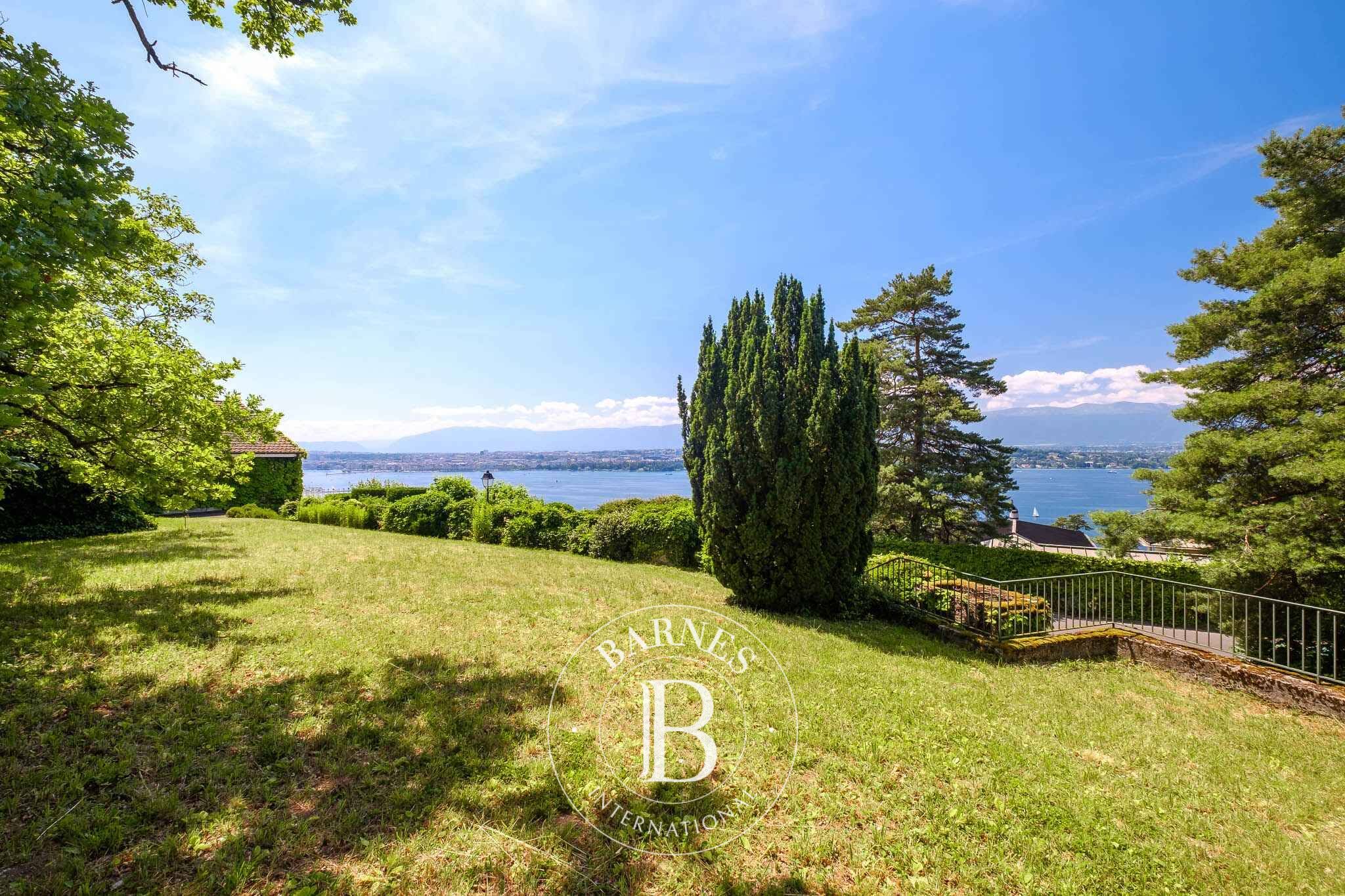 Villa Cologny - picture 6