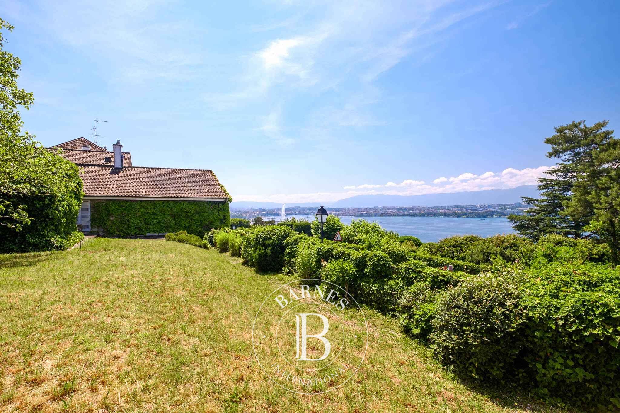 Villa Cologny - picture 7