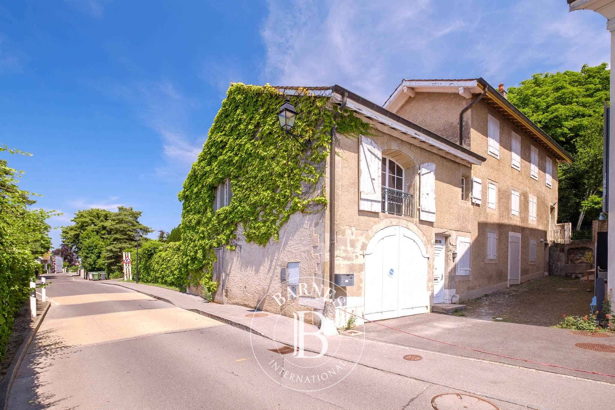 Villa Cologny - picture 4