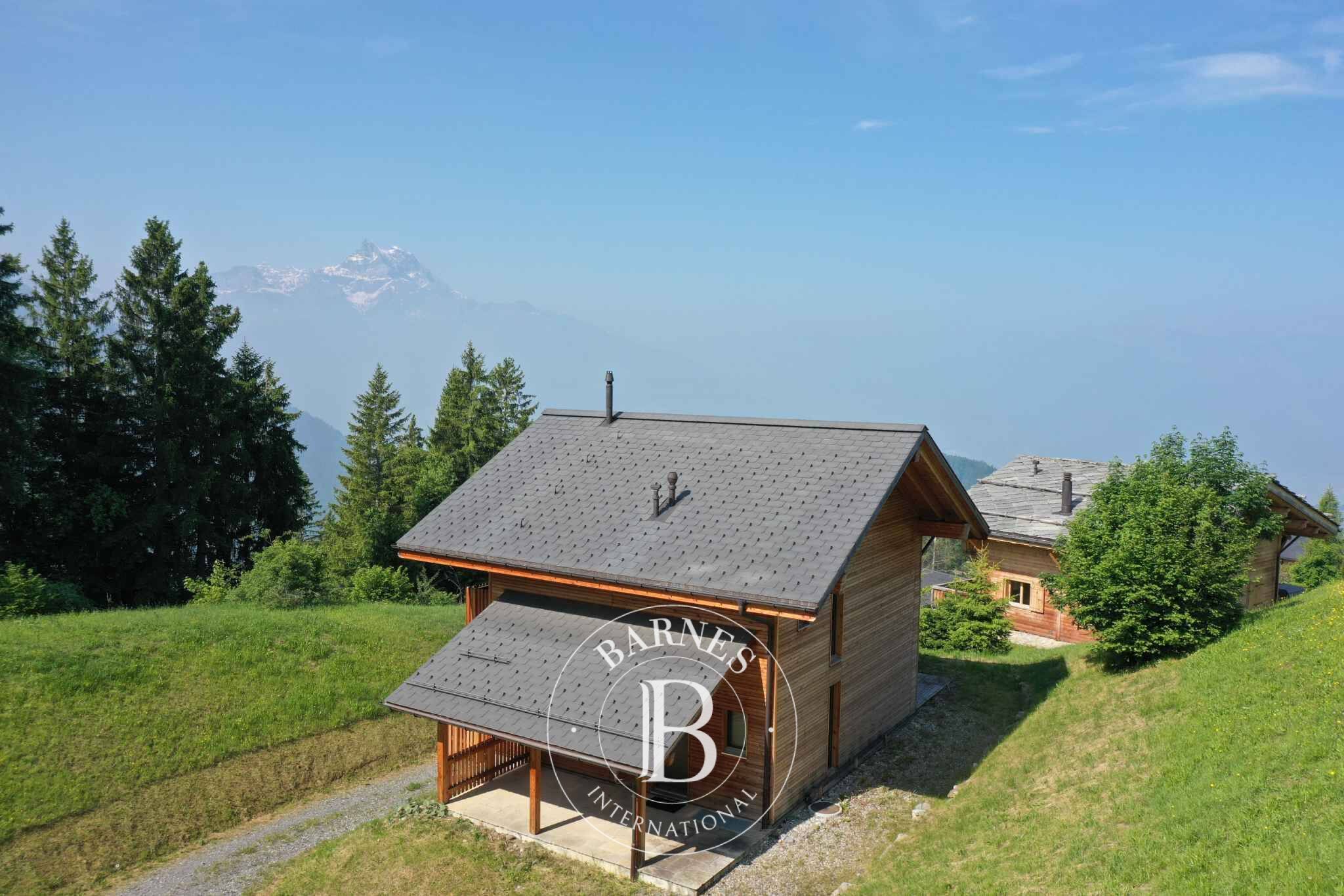 Villa Gryon - picture 12