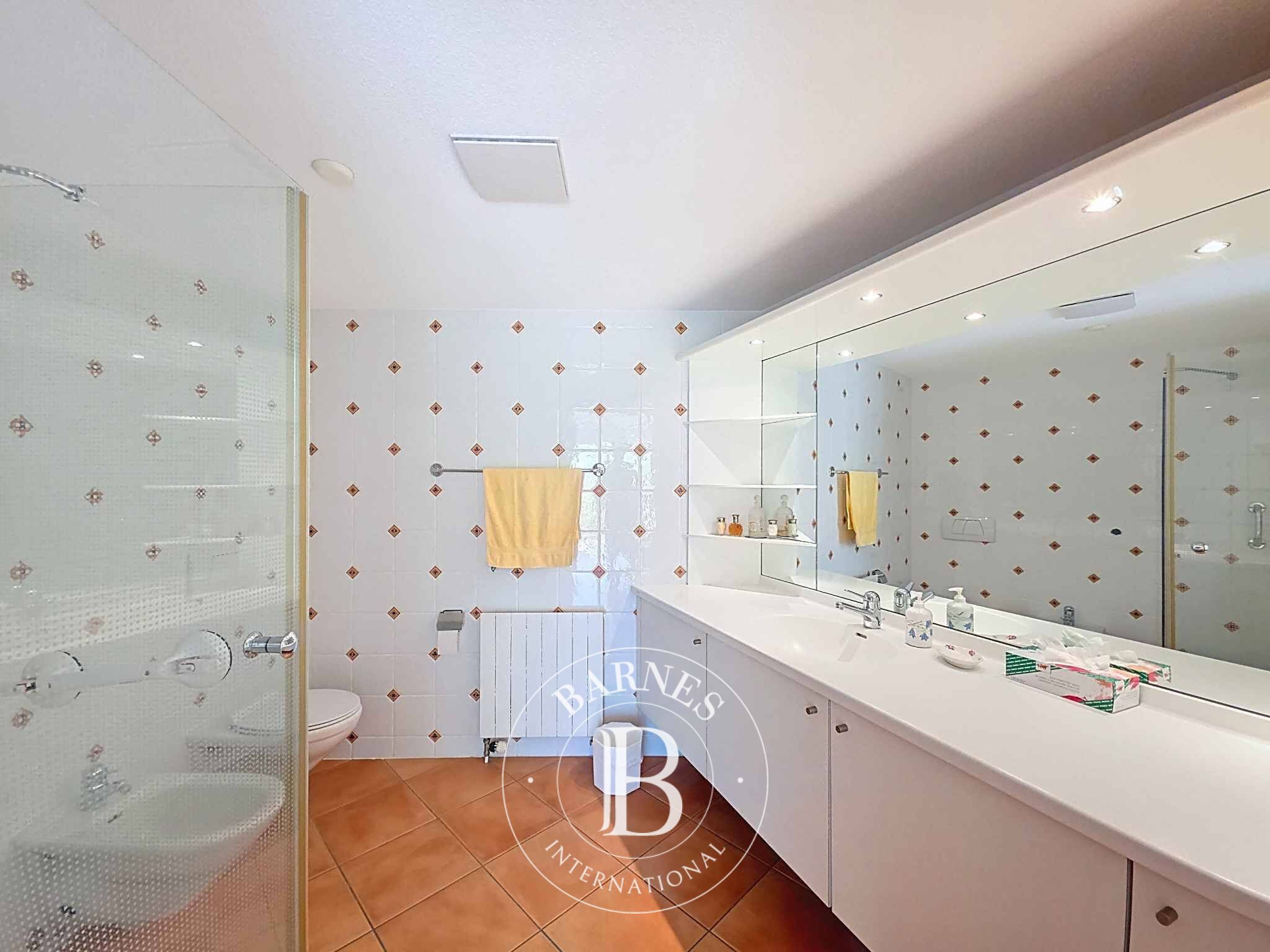 Penthouse Saillon - picture 6