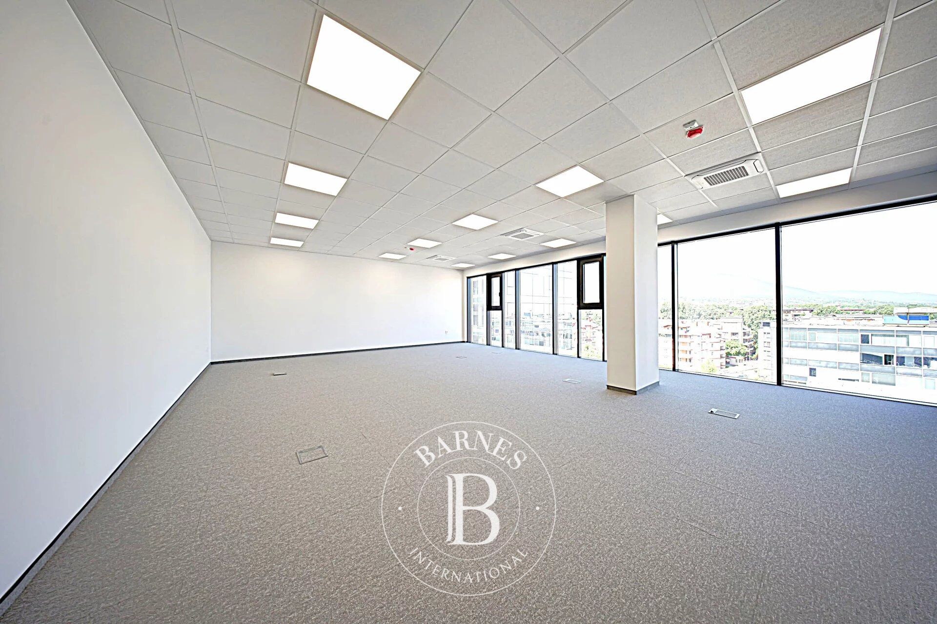 Bureau Sofia - picture 2