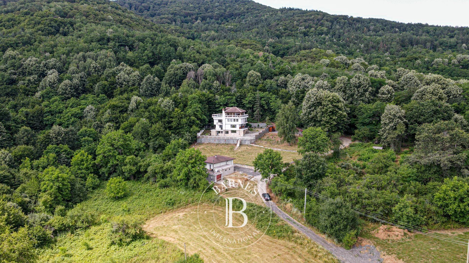 Konak Pravets - picture 9