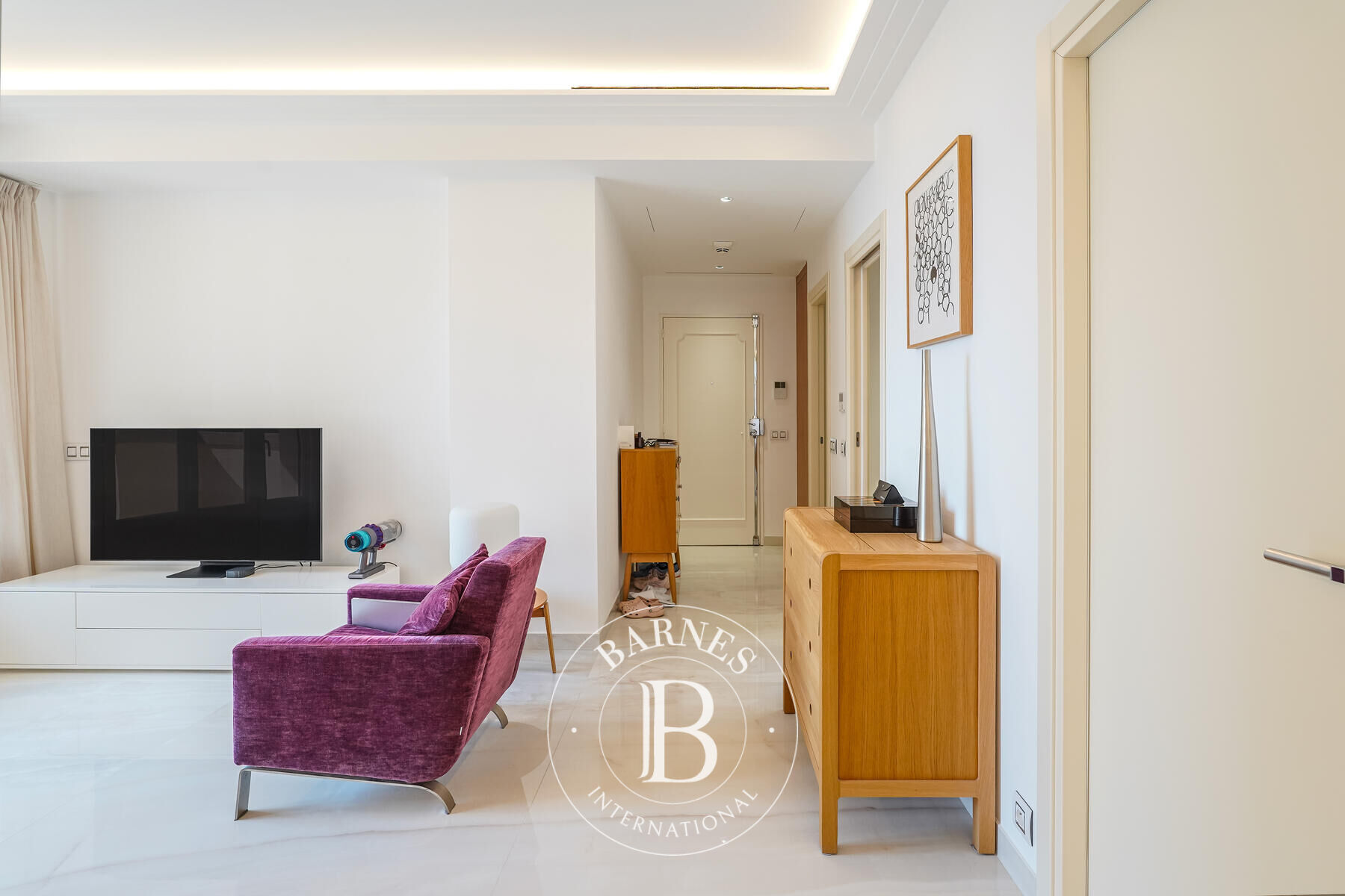 Daire Monaco - picture 5