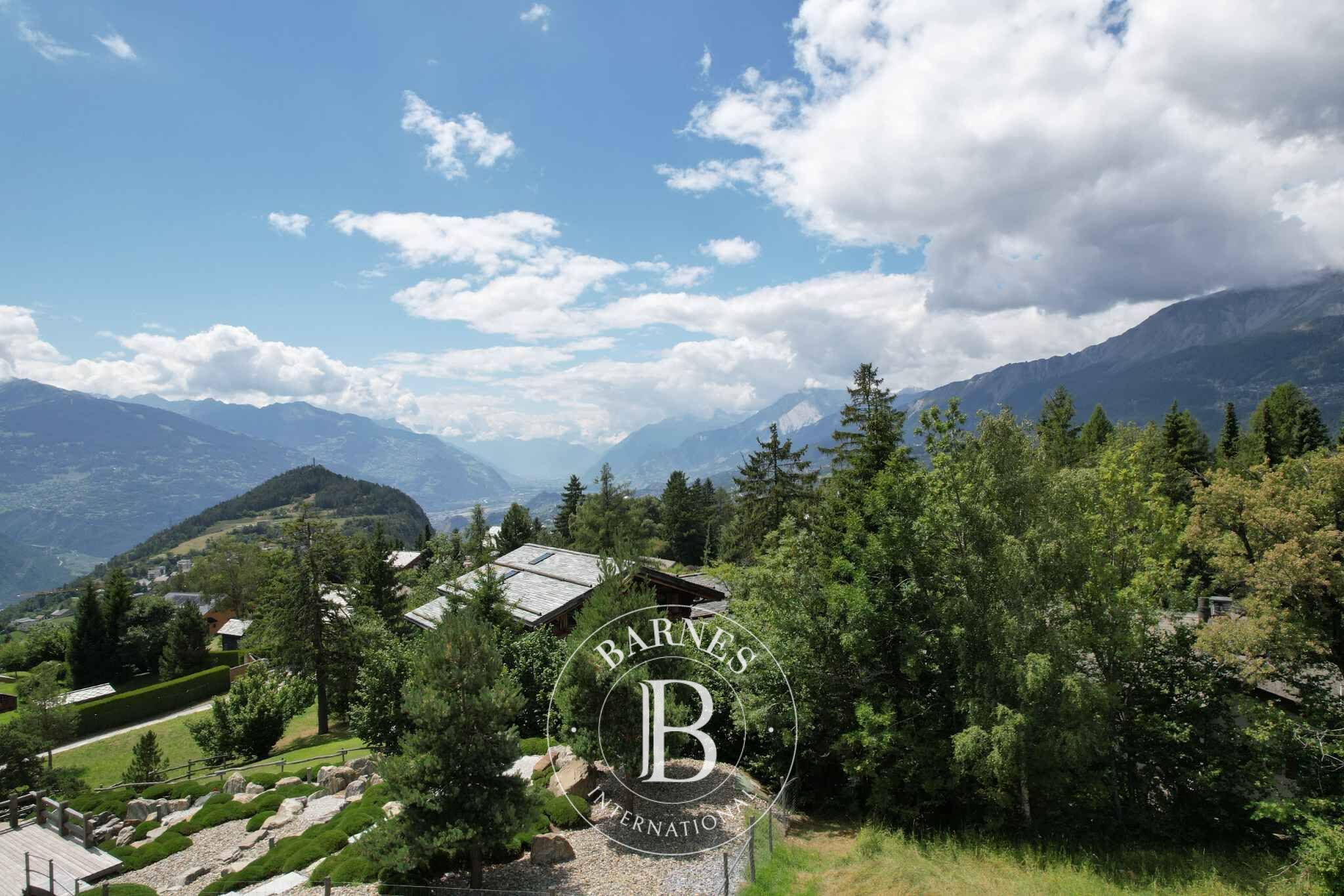 Arazi Crans-Montana - picture 10