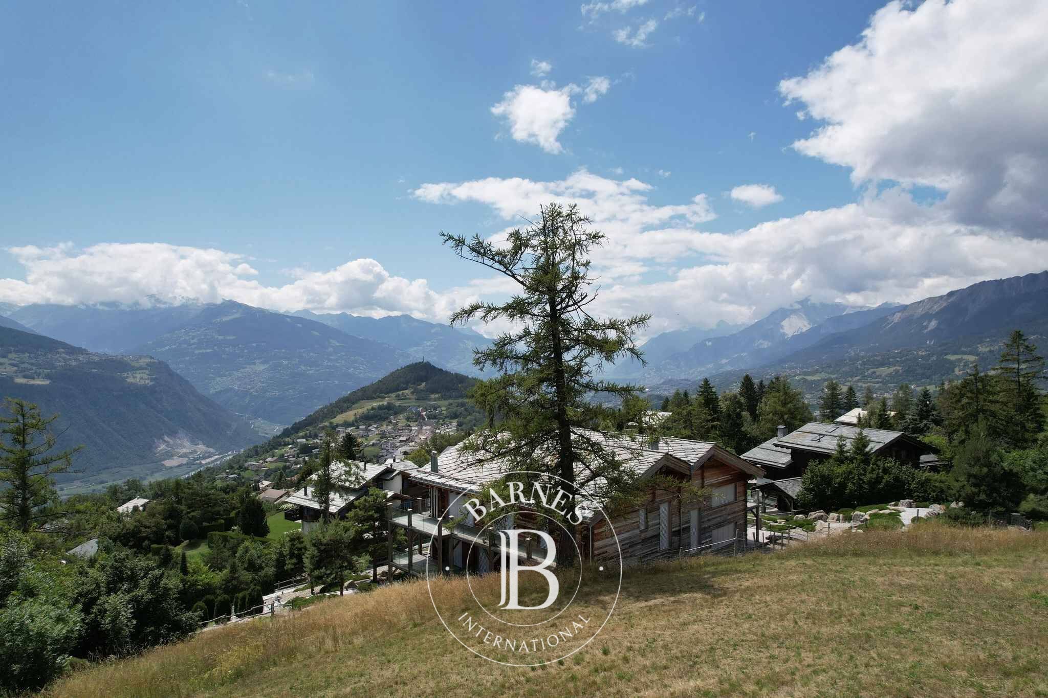 Arazi Crans-Montana - picture 11