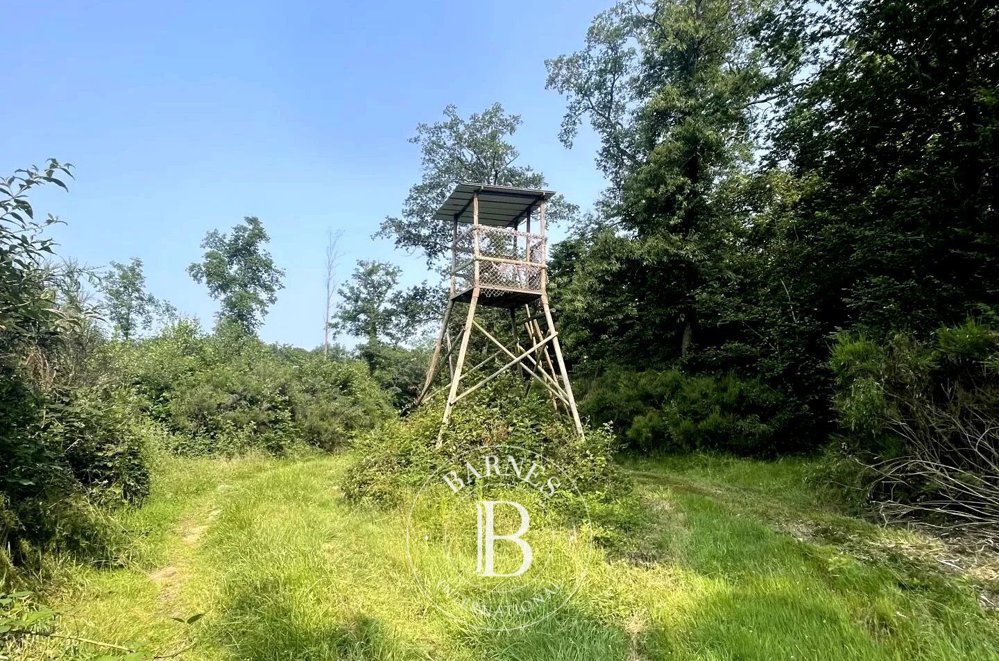 Riserva di caccia Mionnay - picture 3