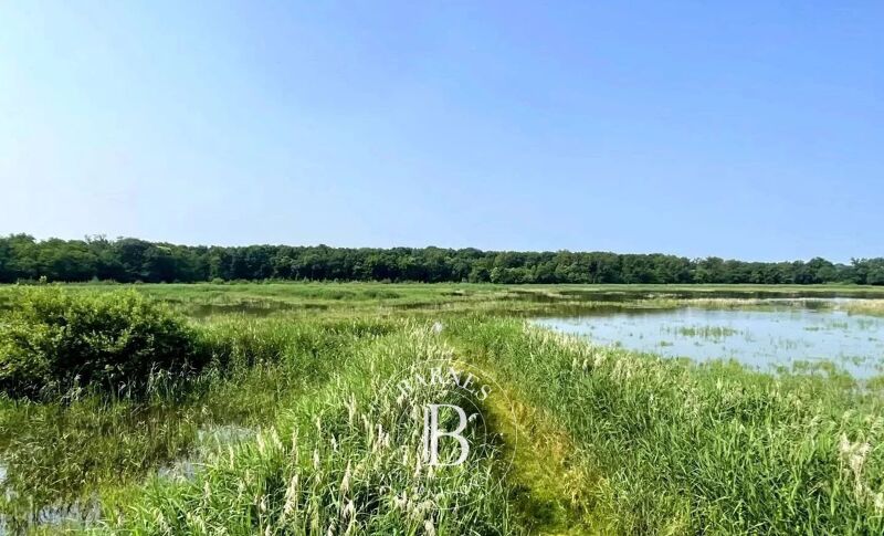 For Sale, Game reserve Mionnay - picture 1