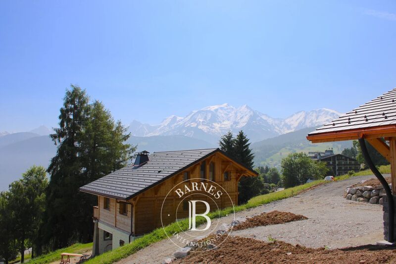 Venta, Chalet Combloux - picture 2