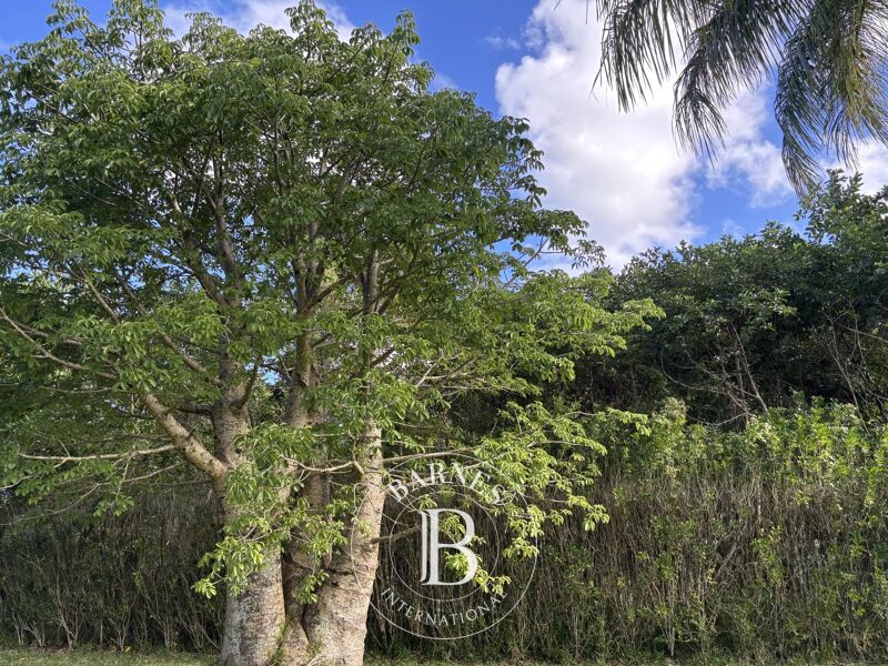 Venta, Terreno agrícola Deux Bras - picture 2