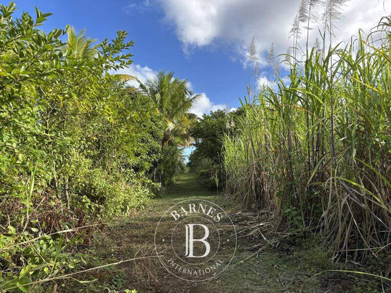 Venta, Terreno agrícola Deux Bras - picture 1