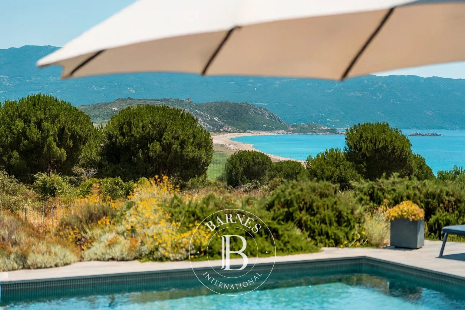 Villa Sagone - picture 1