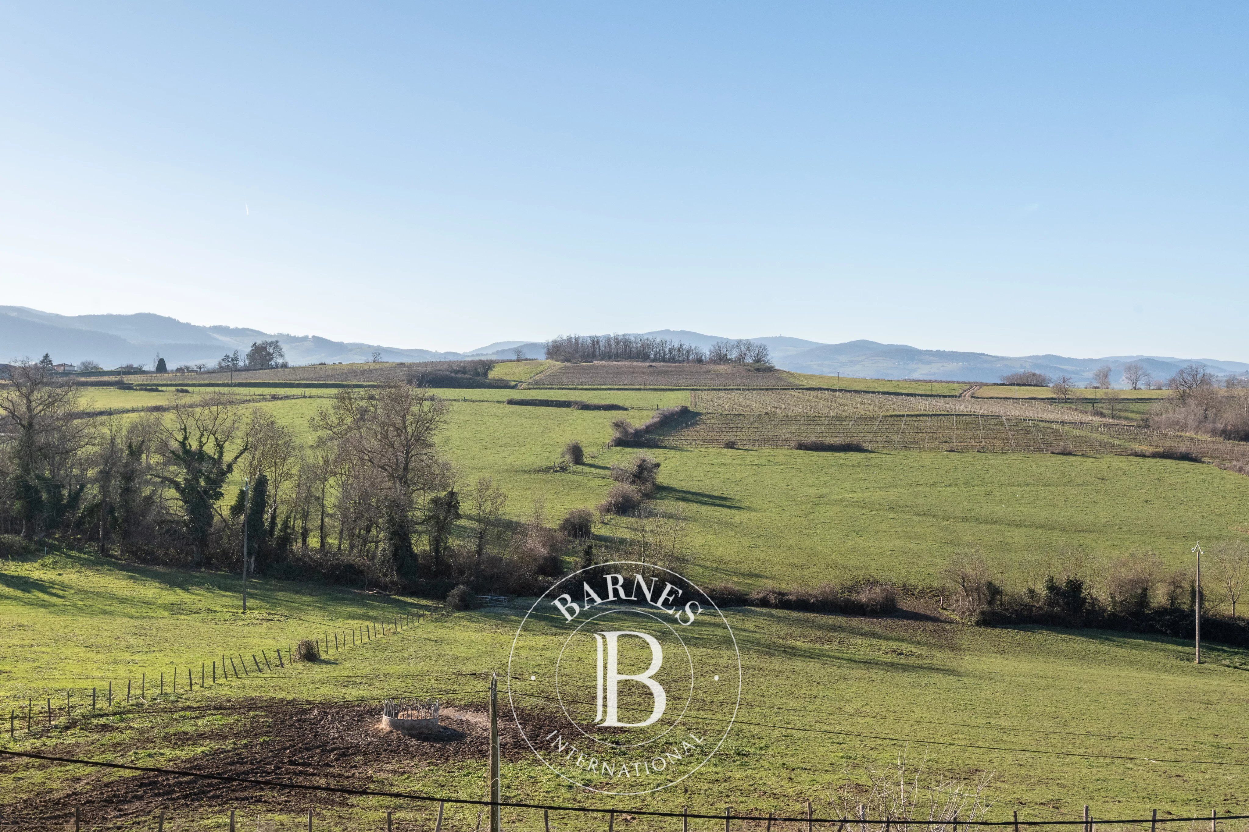 Casa Sarcey - picture 2