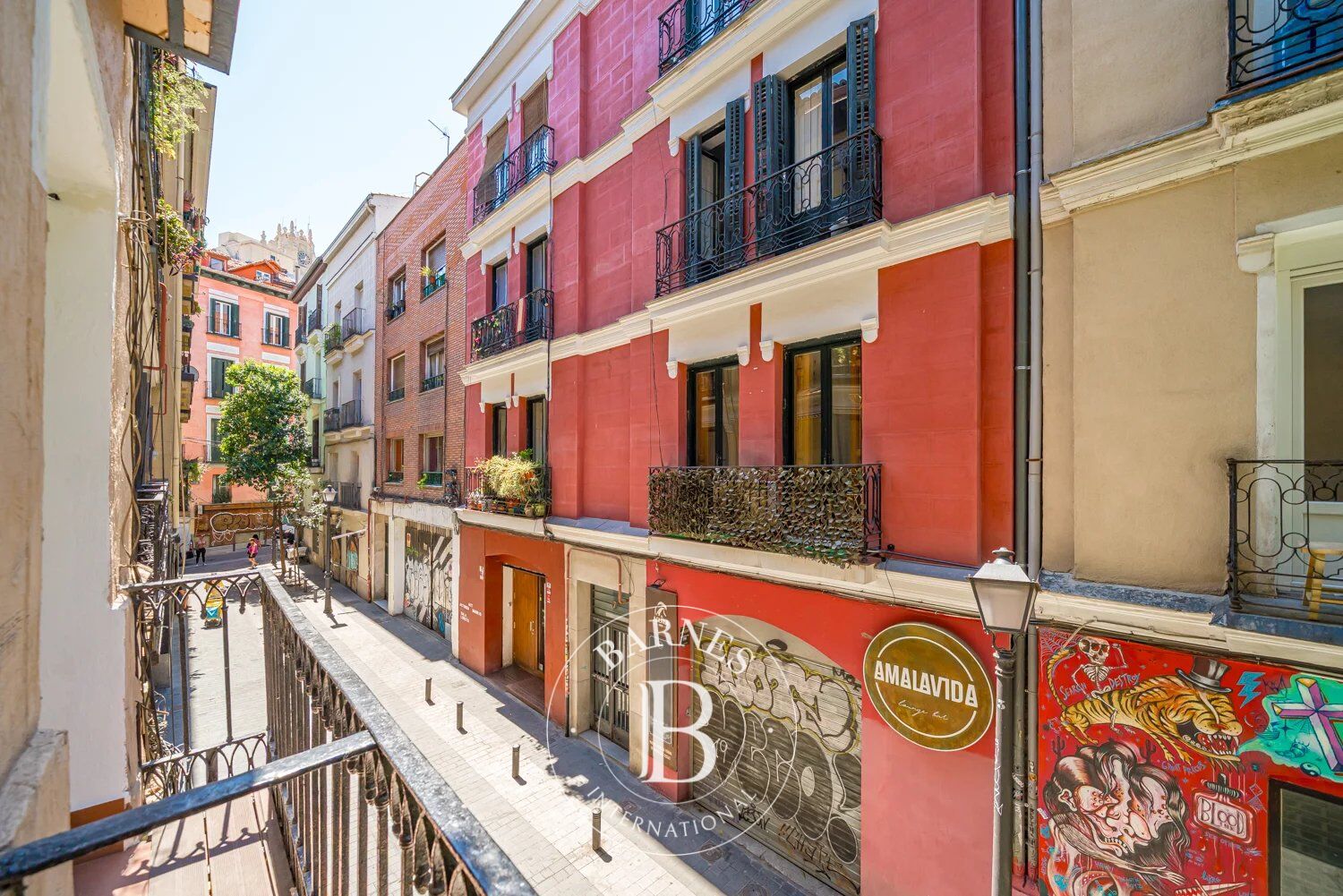 Daire Madrid - picture 36