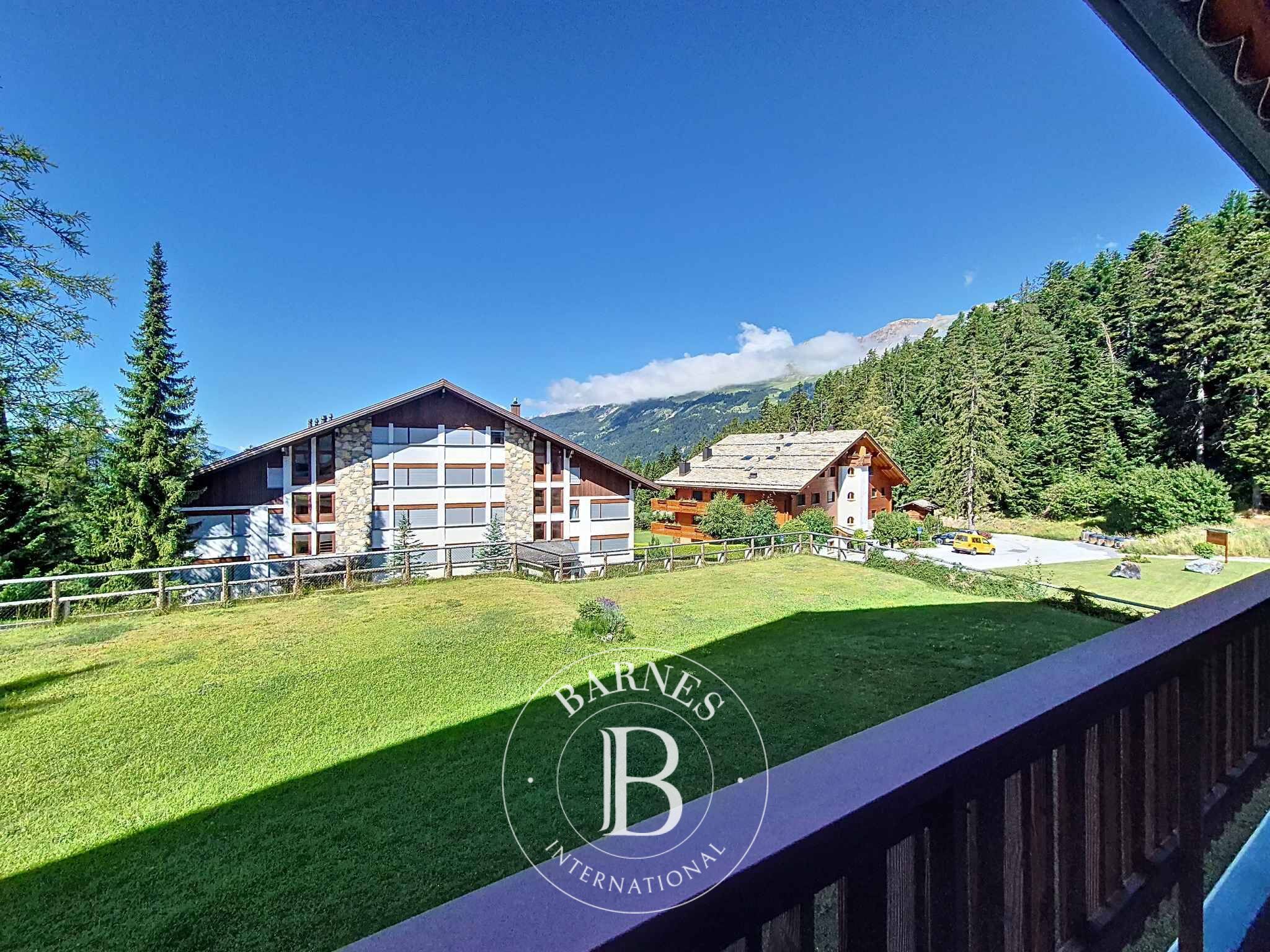 Daire Crans-Montana - picture 13