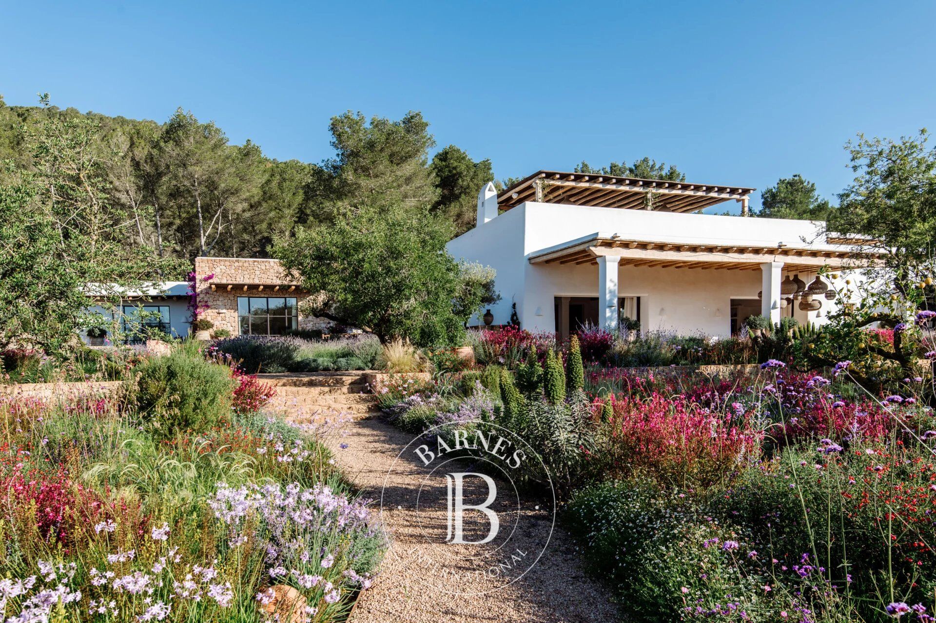 Villa Isla de Ibiza - picture 1