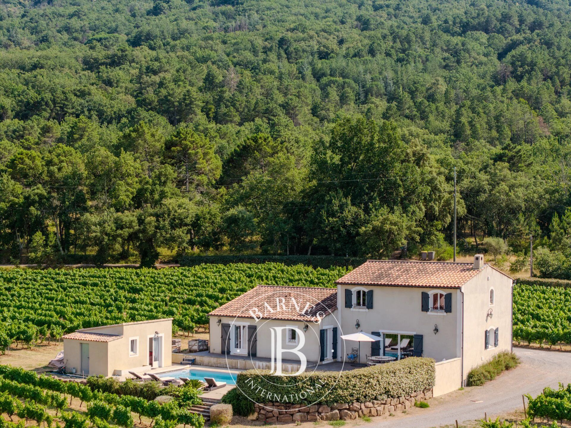 Proprietà vinicola Gonfaron - picture 3