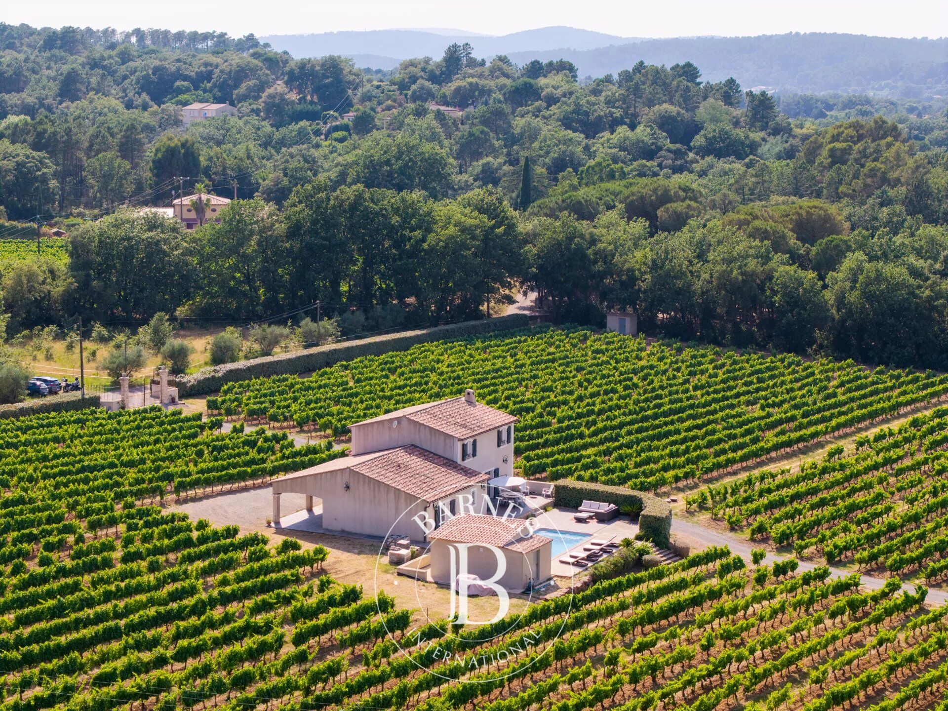 Proprietà vinicola Gonfaron - picture 2