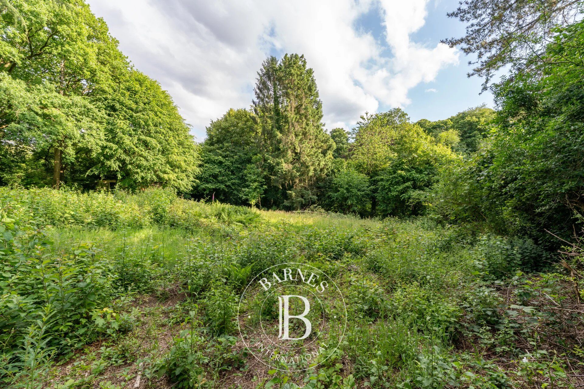 Arazi Uccle - picture 9