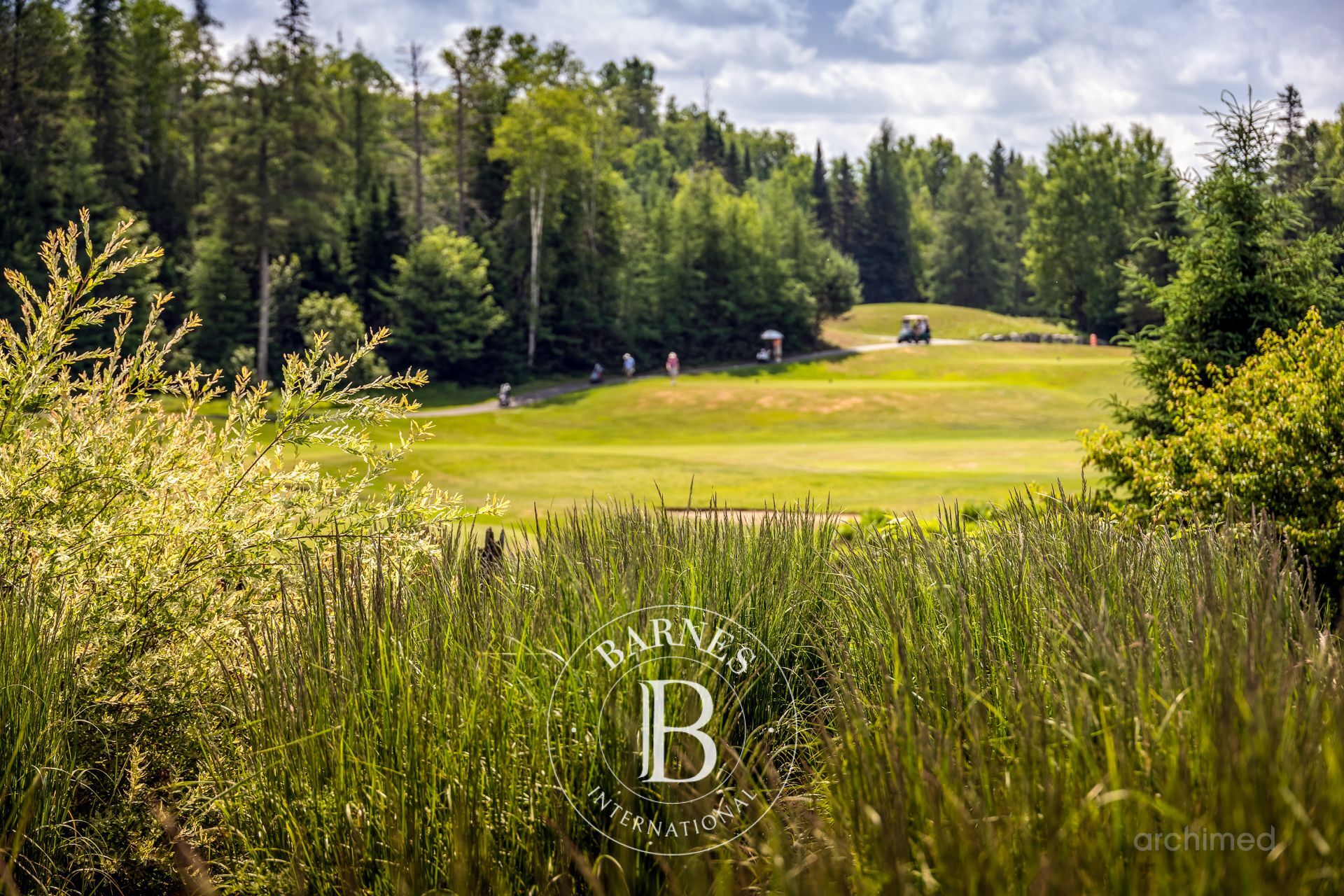 Ev Mont-Tremblant - picture 8