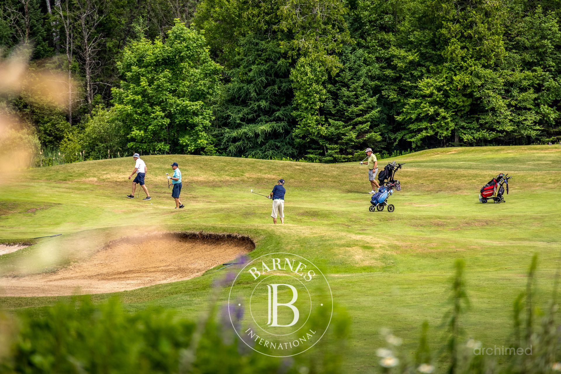 Ev Mont-Tremblant - picture 7